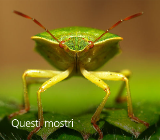 Club Questi Mostri