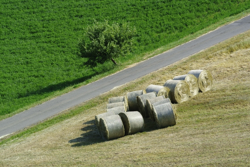 Immagine ridimensionata: clicca sull'immagine per vederla con le dimensioni originali.