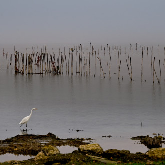 Il Lago D'inverno