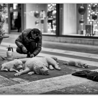 Sand Dogs (street Artist)