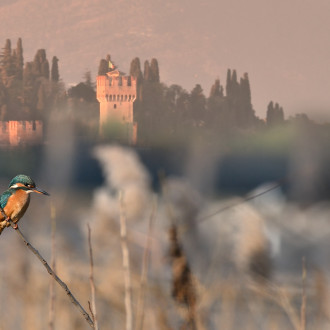 Colori Di Un Tramonto Sul Lago