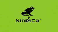 NINOCA82