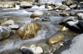 Torrente Di Montagna