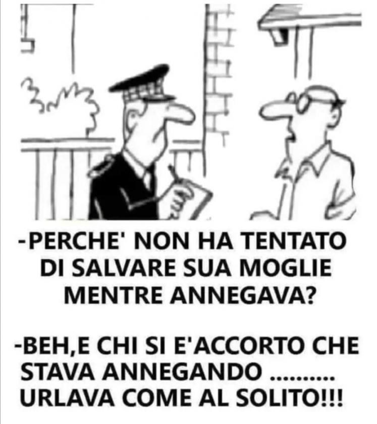 Immagine Allegata