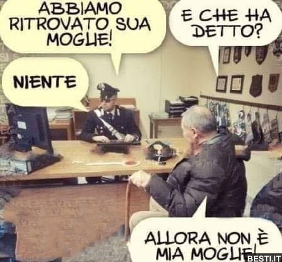 Immagine Allegata