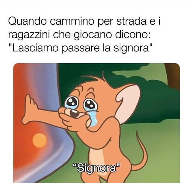 Immagine Allegata