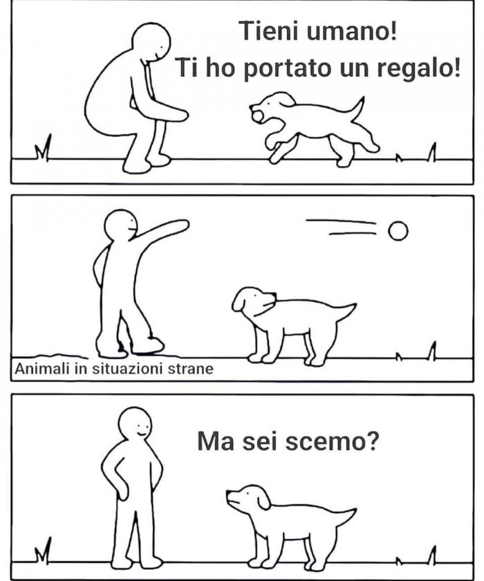 Immagine Allegata