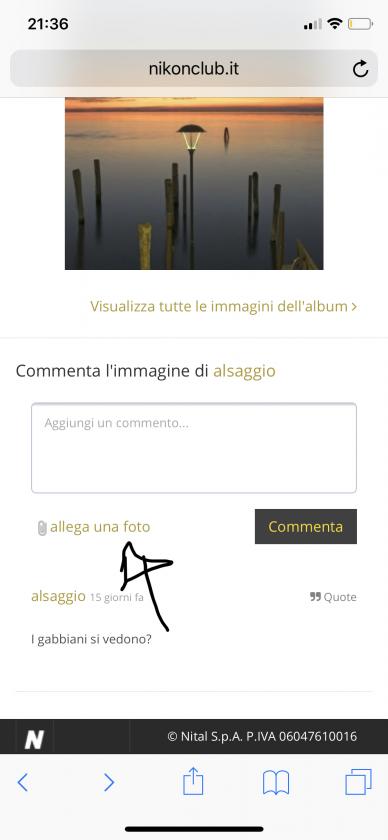 Immagine Allegata