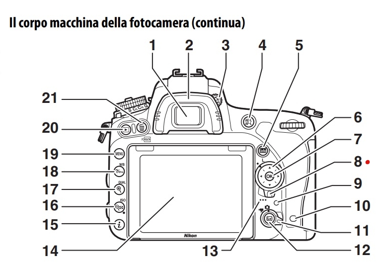 Immagine Allegata