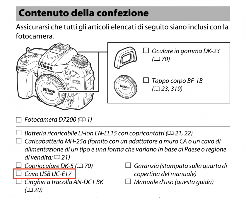 Immagine Allegata