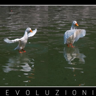 Evoluzioni