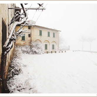 [w/nw] Neve A Marzo