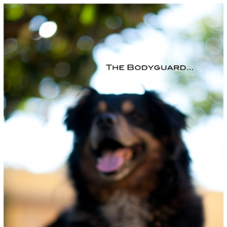 The Bodyguard