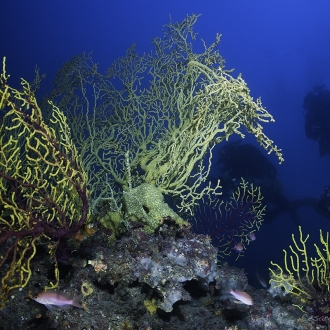 Gallipoli, Paesaggi Profondi