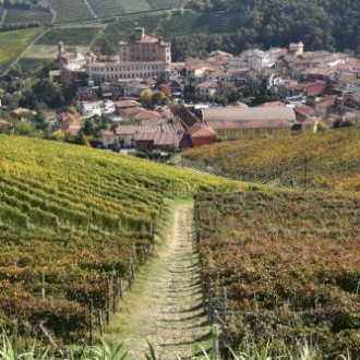 Barolo Con Silvia E Franco......