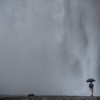 Umbrella