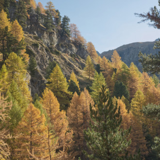 Ottobre 2021 - Val D'aosta - Lillaz-alta Via N.2 - Alpe Bardoney-lago Loie-lillaz