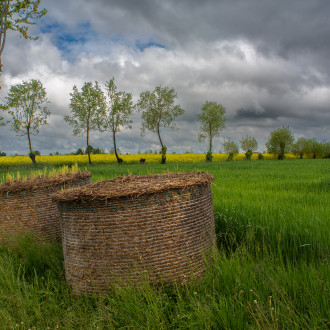 In Campagna