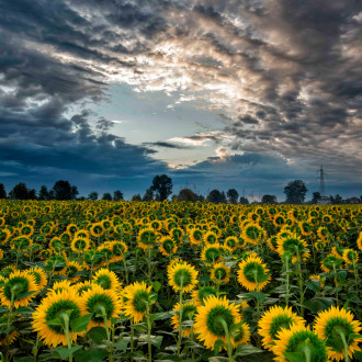 Tutti Verso La Luce