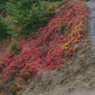 Val D'aosta, Ottobre 2023